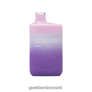 Geek Bar b5000 engangs RXT24R28 drueis - Geek Bar Danmark