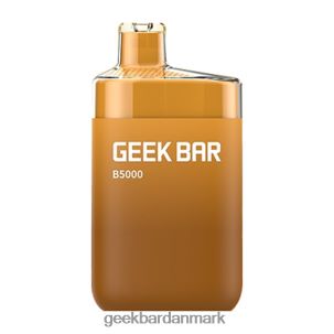 Geek Bar b5000 engangs RXT24R31 citron iste - Geek Bar Price