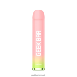 Geek Bar Meloso engangs vape RXT24R169 fersken is - Geek Bar Denmark